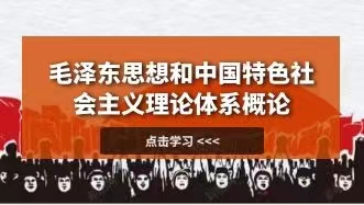 毛泽东思想和中国特色社会主义理论体系概论(公共课)